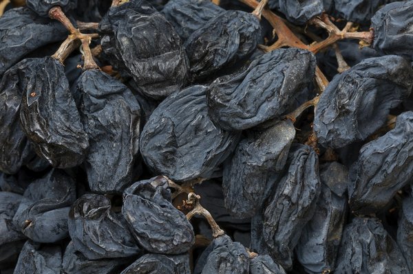 Comment participer à des vendanges en Bourgogne sans frais d'inscription?